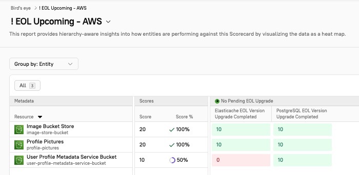 The Birds Eye report shows a heat map of entity progress for a Scorecard.